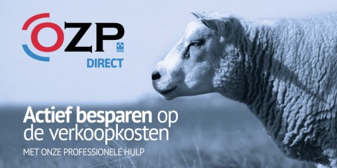 OZP Direct 2019