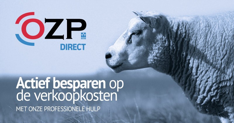 OZP Direct 2019