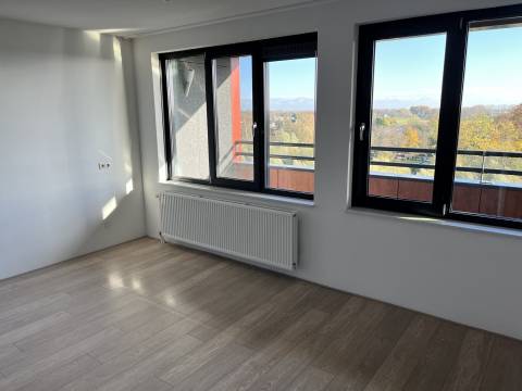 Leeuwstraat 354 