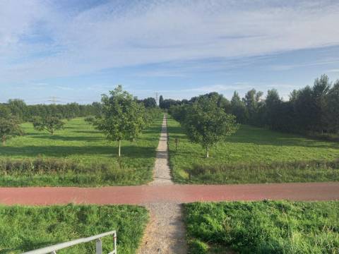 Vredenburg 44 a