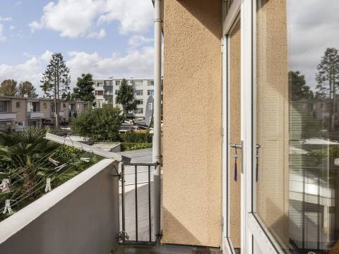 Van Hallstraat 4 